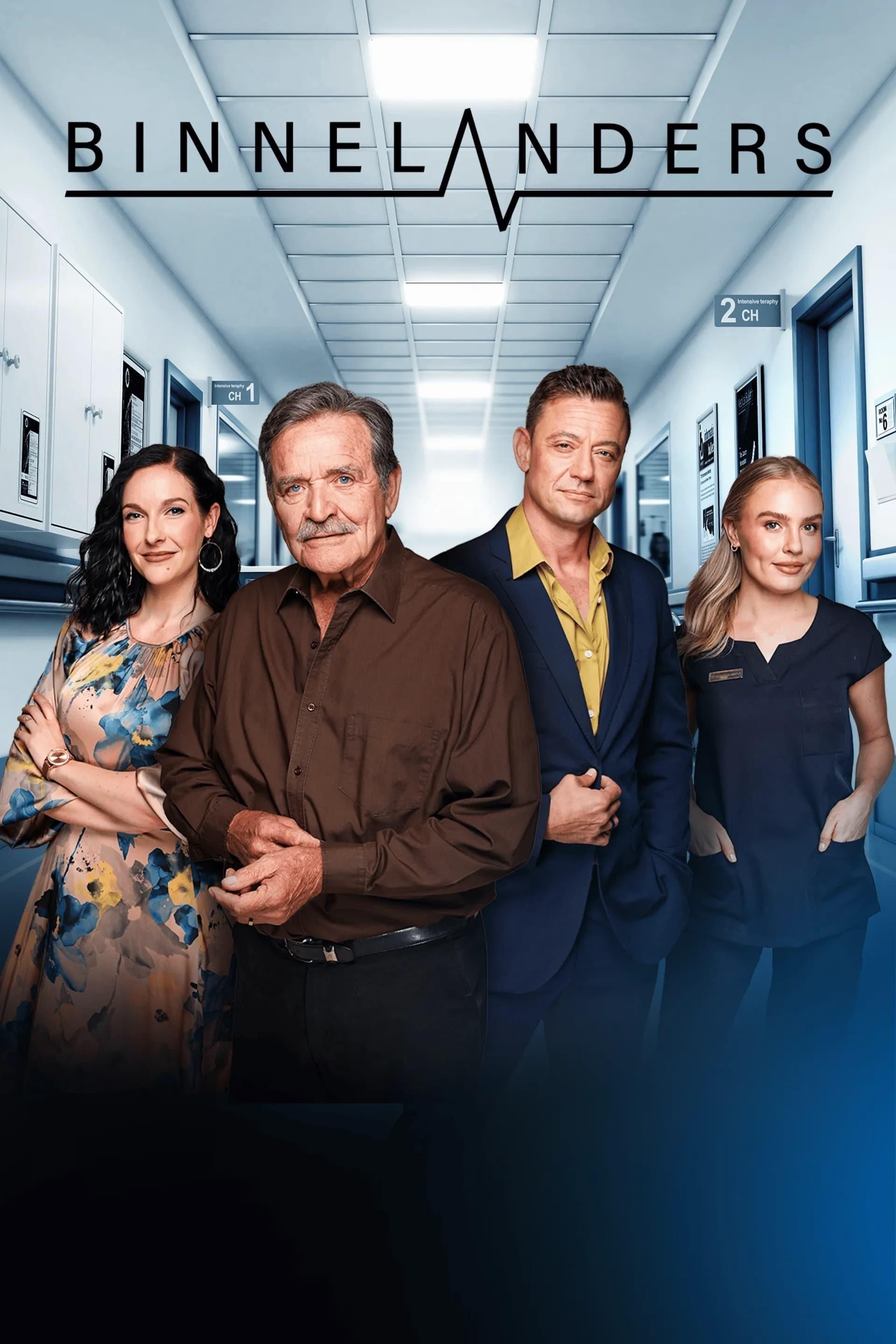 Binnelanders tv poster